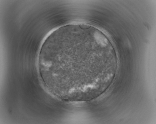 X0000112890864200910021413