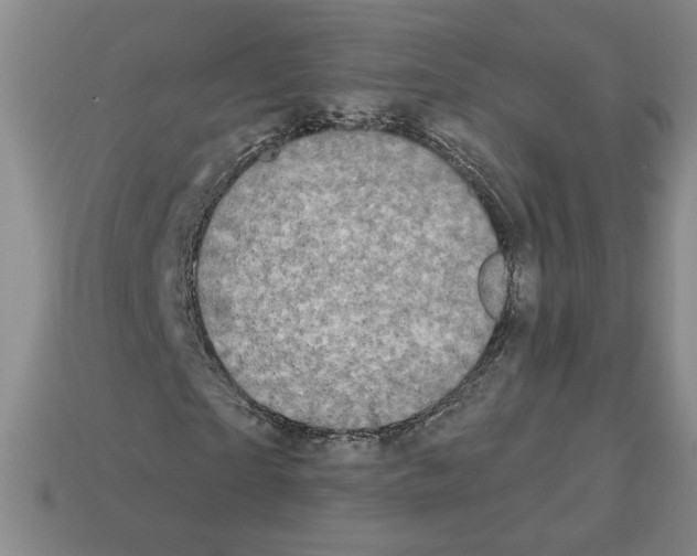 X0000112890865200910021412