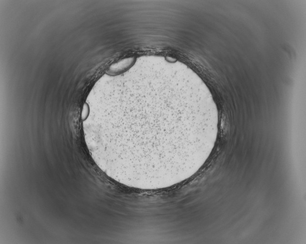 X0000112890867200910021412