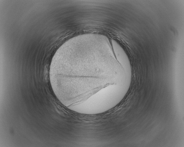 X0000112890868200910021412
