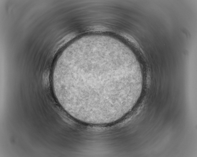 X0000112890873200910021412