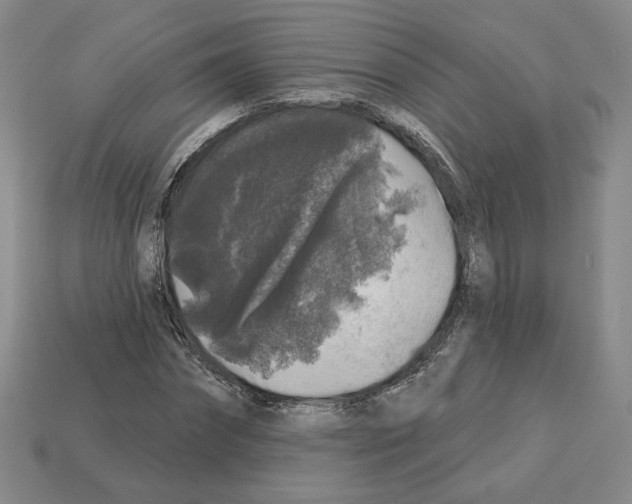 X0000112890874200910021412