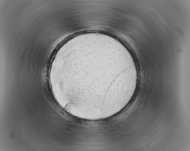 X0000112890875200910021412