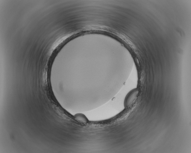 X0000112890877200910021412