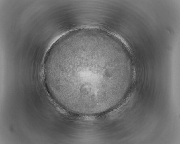 X0000112890878200910021412