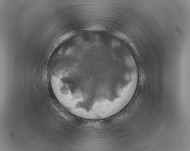 X0000112890882200910021412