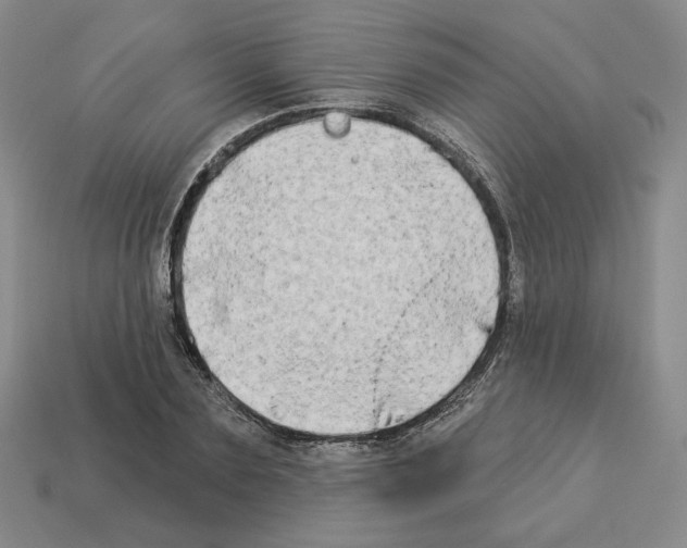 X0000112890883200910021412