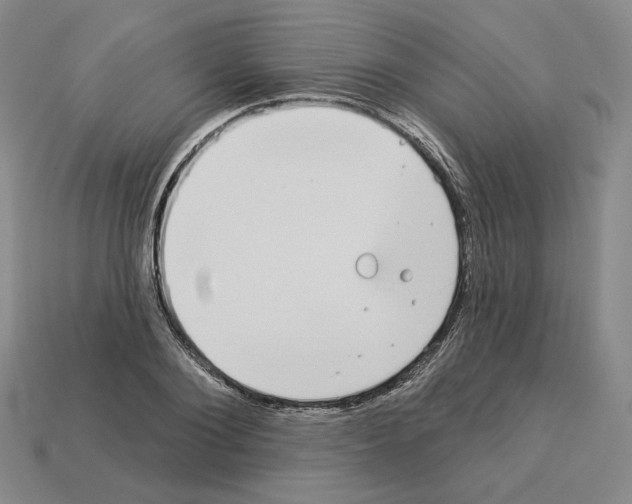 X0000112890884200910021412