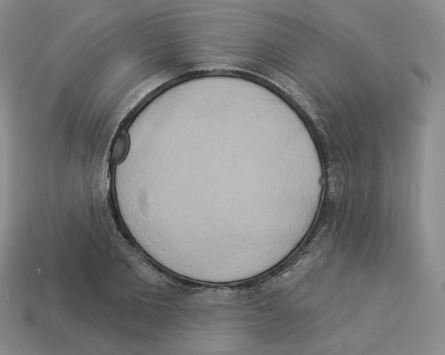 X0000112890885200910021412