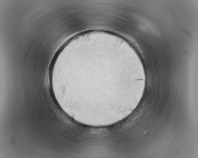 X0000112890887200910021412