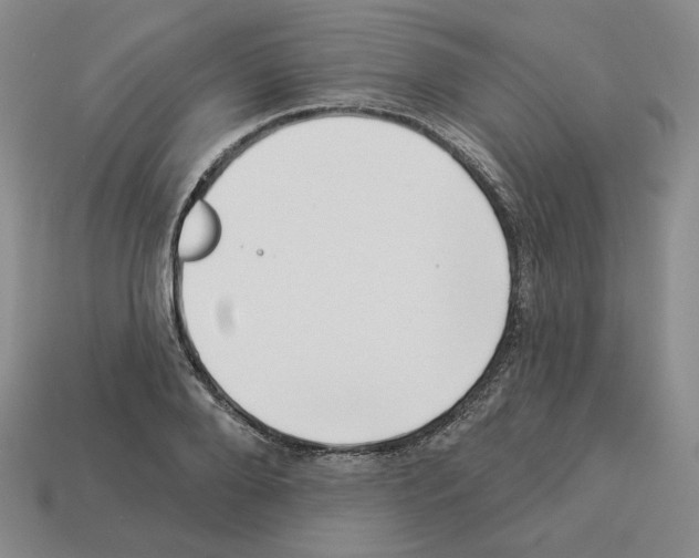 X0000112890888200910021412