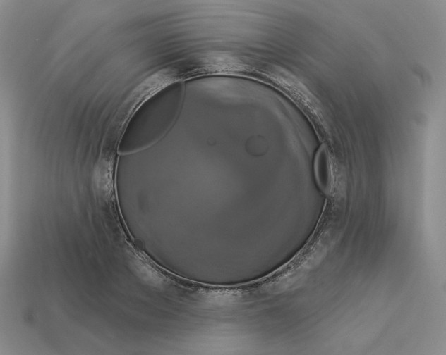 X0000112890889200910021412