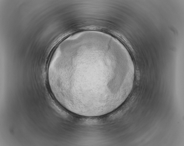 X0000112890890200910021412