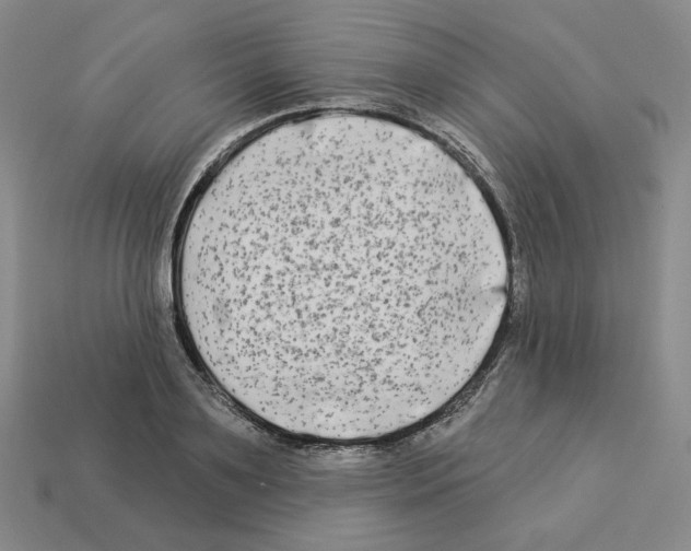 X0000112890891200910021412