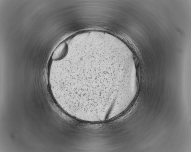 X0000112890892200910021412