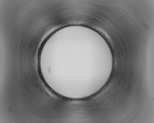 X0000112890894200910021412