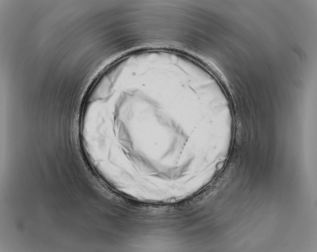 X0000112890895200910021412