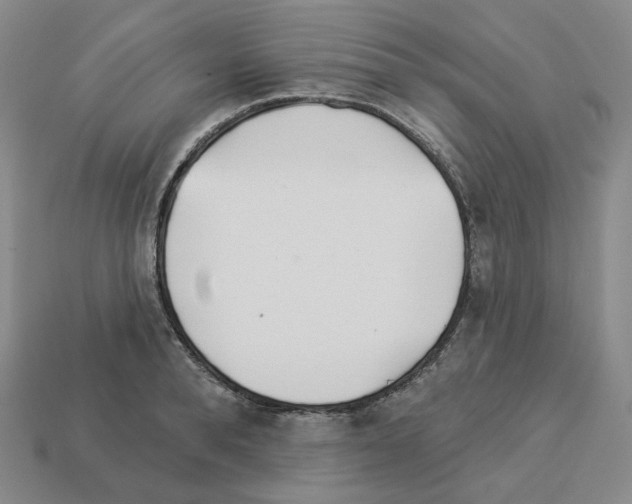 X0000112890896200910021412