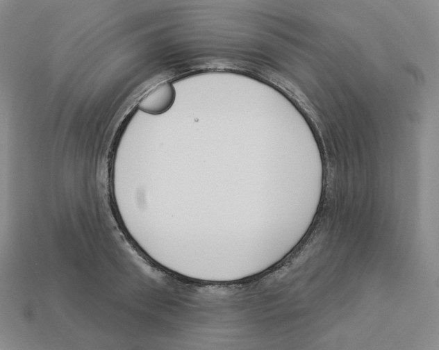 X0000112890898200910021412
