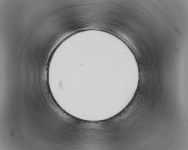 X0000112890900200910021412