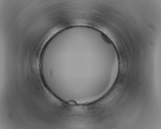 X0000112890901200910021412
