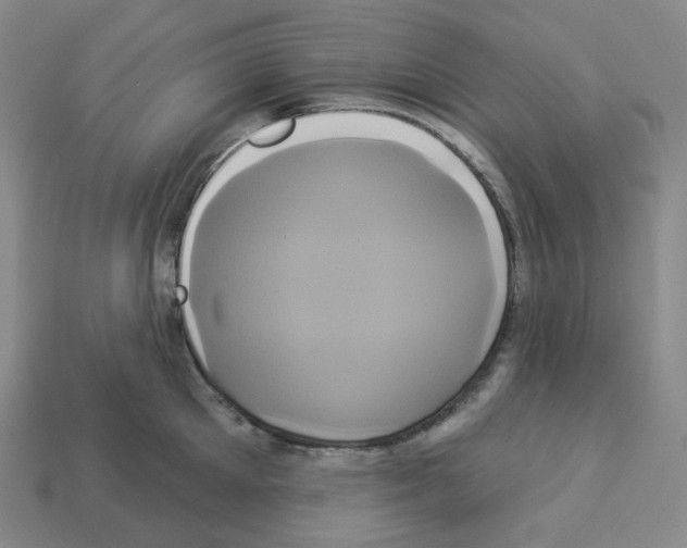 X0000112890905200910021412