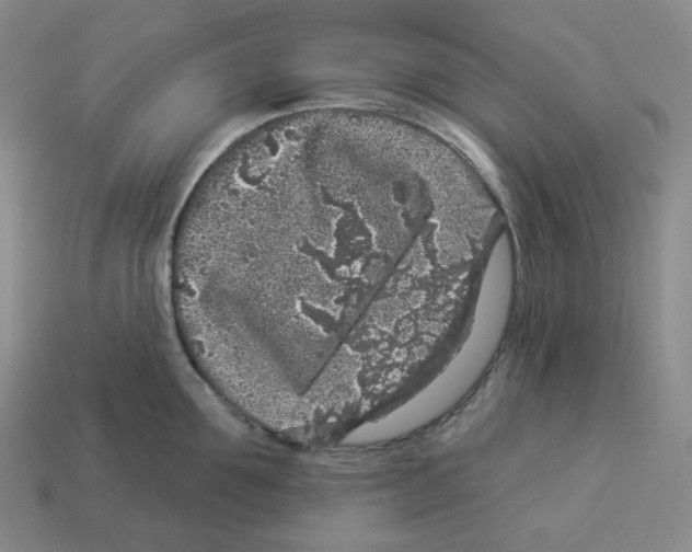 X0000112890907200910021412