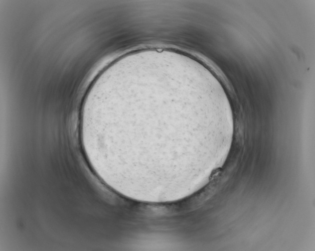 X0000112890911200910021412