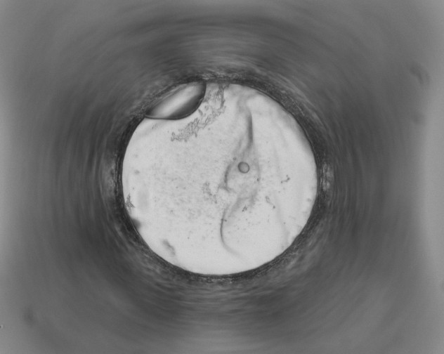 X0000112890915200910021411