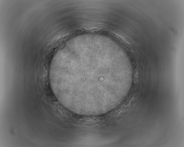 X0000112890917200910021411