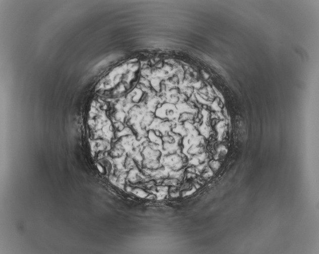 X0000112890918200910021411
