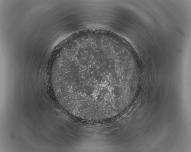 X0000112890919200910021411