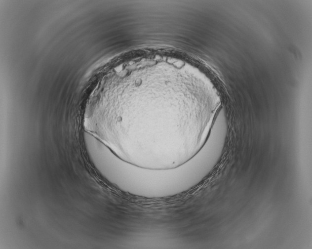 X0000112890920200910021411