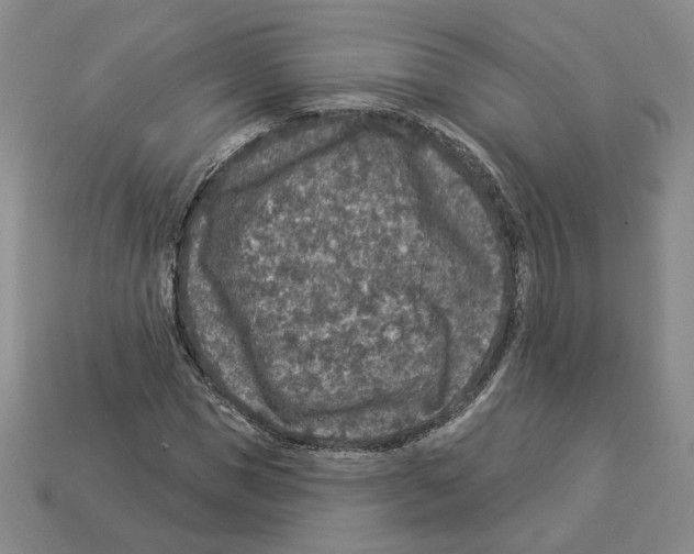 X0000112890921200910021411