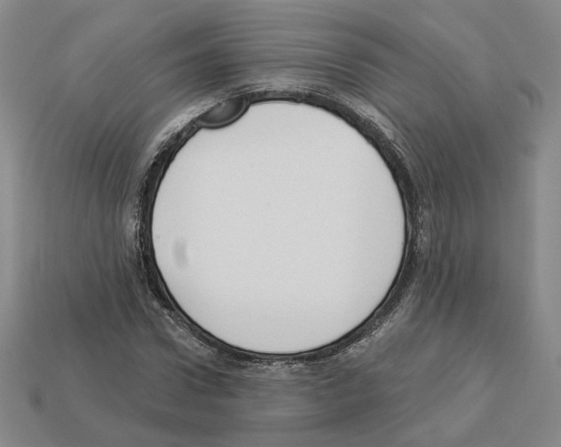 X0000112890922200910021411