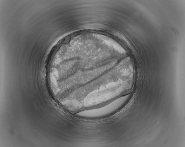 X0000112890923200910021411
