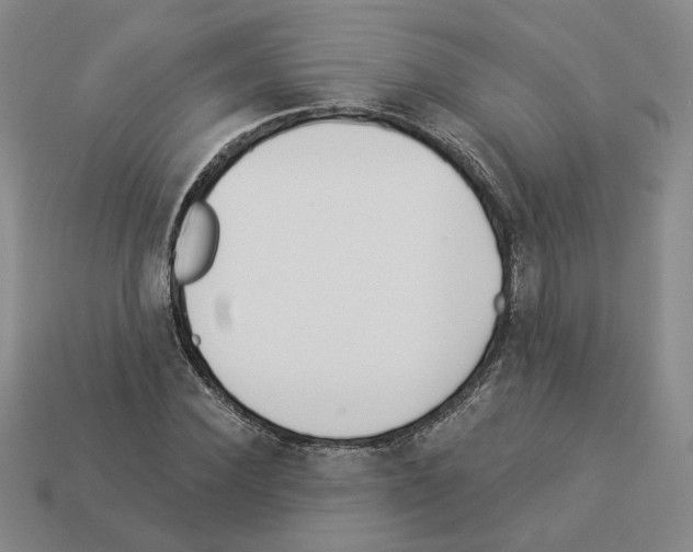 X0000112890924200910021411