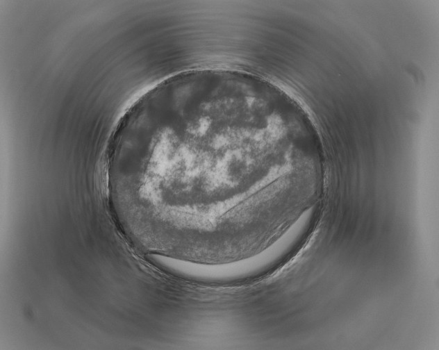 X0000112890925200910021411