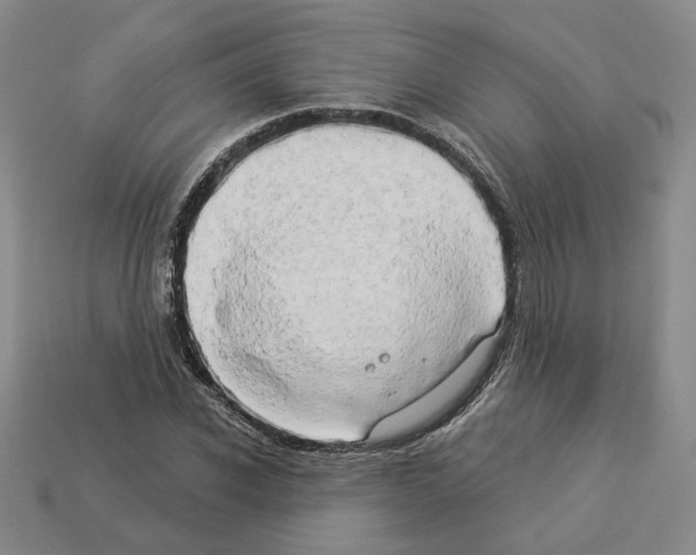 X0000112890926200910021411