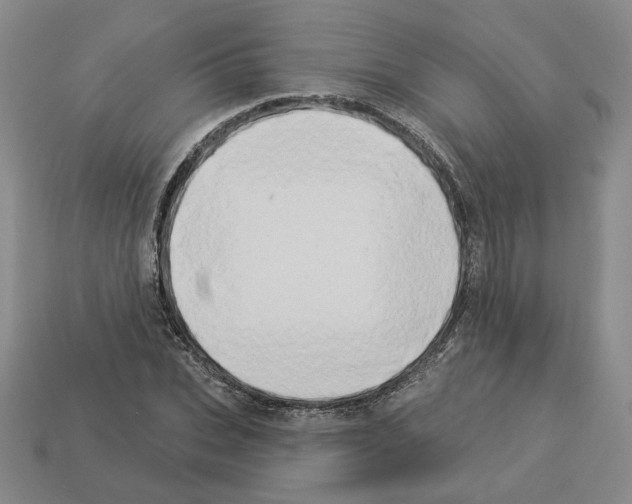 X0000112890927200910021411