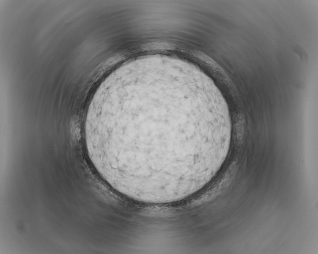X0000112890929200910021411