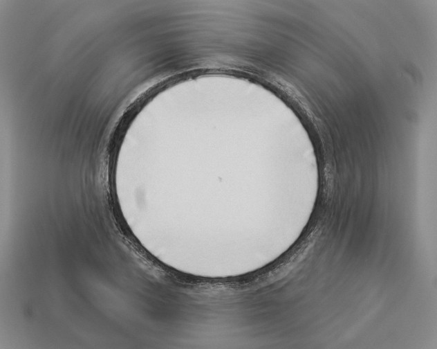 X0000112890931200910021411