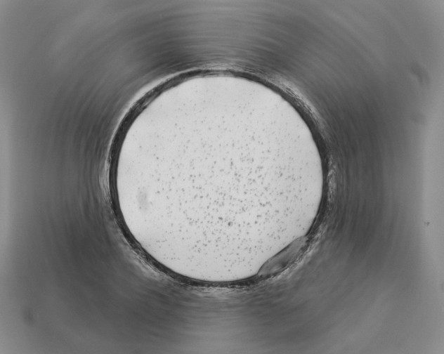 X0000112890932200910021411