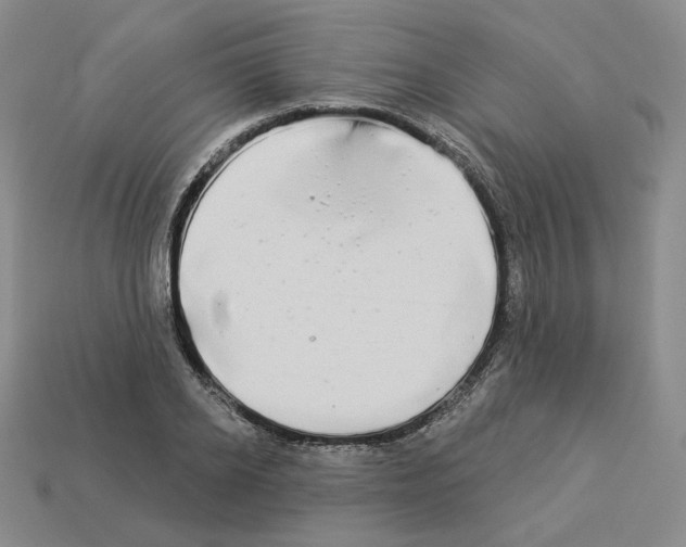 X0000112890934200910021411