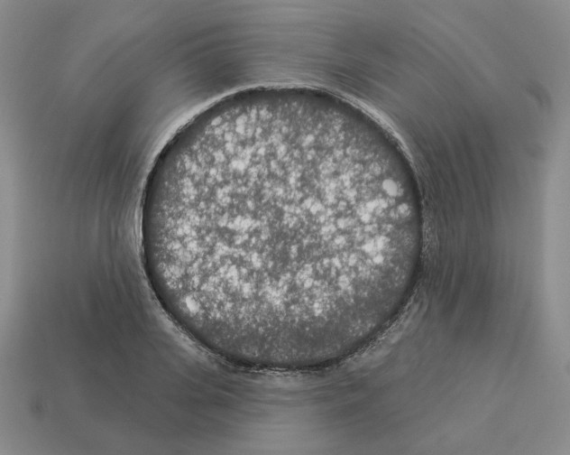 X0000112890935200910021411