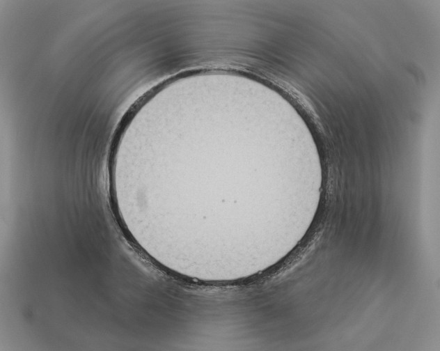 X0000112890936200910021411