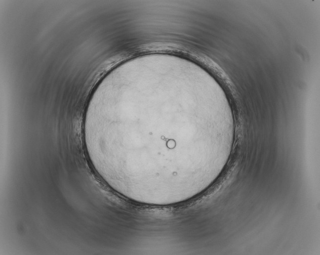 X0000112890937200910021411