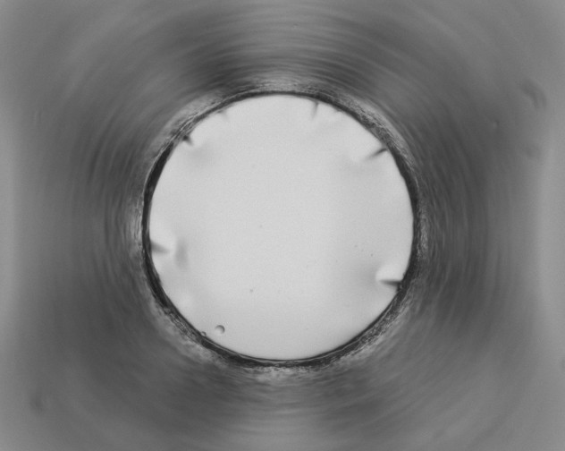 X0000112890938200910021411