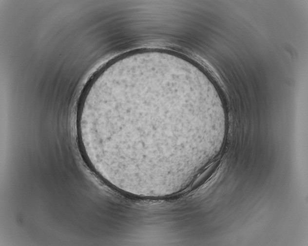 X0000112890939200910021411
