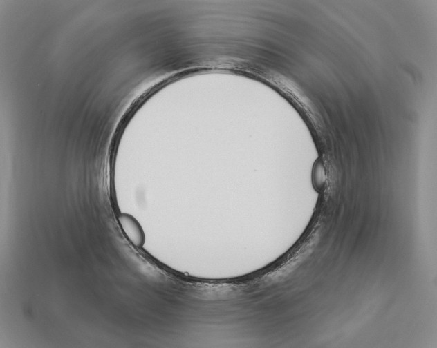 X0000112890940200910021411